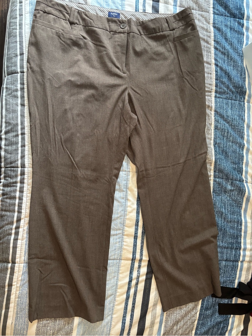 Women's Dress Pants in Dark Brown - Classic Straight Fit